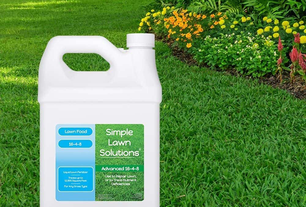 How often should you fertilize your lawn?