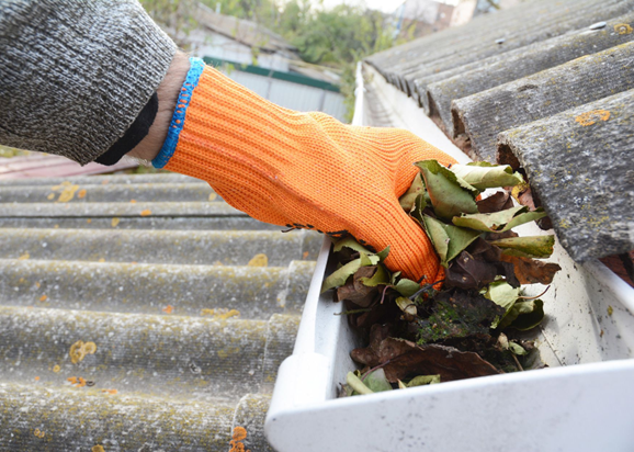 Proactive Roof Care: 4 Steps to Ensure Long-Term Durability