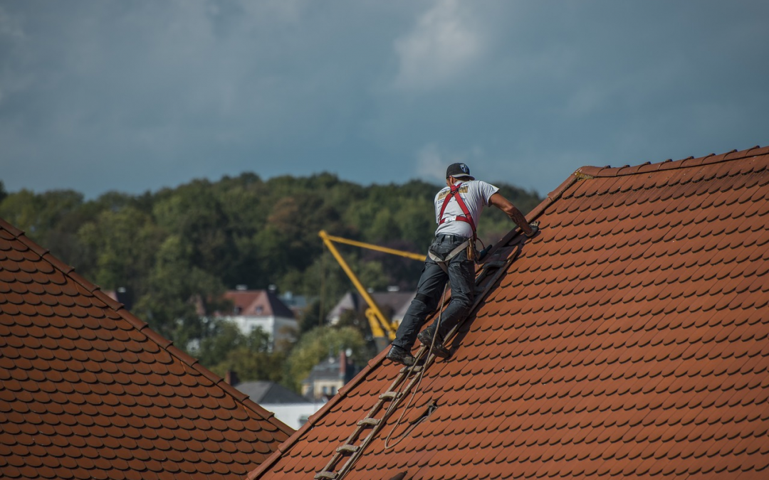 Eco-Friendly Roofing for the Environmentally Conscious Homeowner